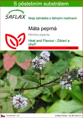 Obrázek produktu pro SAFLAX - máta peprná - Mentha piperita - 300 Semena - S pěstebním substrátem bez klíčků