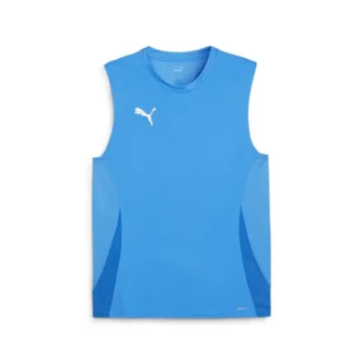 Produktbild von Puma Teamgoal Tanktop Herren - Royal