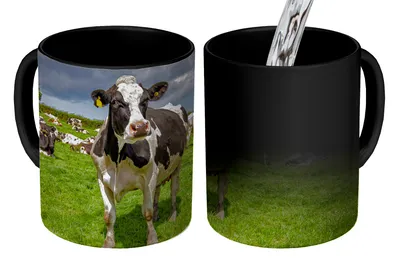 Obrázok produktu pre MuchoWow® Magický pohár Kravy - Zvieratá - Frízske 350 ml Pohár na zmenu farby Darček Nápad na darček - Foto hrnček