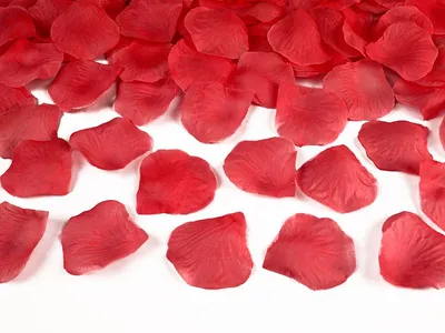 Immagine prodotto di 500 petali di rosa Amour rosso 4cm