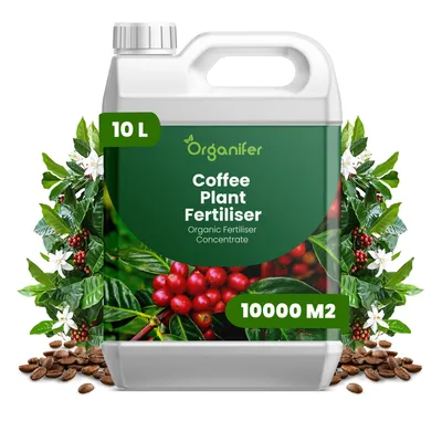 Produktbild von Kaffeepflanzen Flüssigdünger 10L – 2-1-8 NPK – Flüssigdünger Zimmerpflanzen – Für Blätter, Üppige Blüte & Fruchtbildung – Organifer