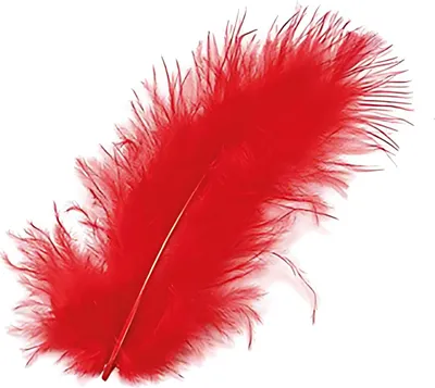 Obrázek produktu pro GLOREX Marabou, Červená, 15 kusů, 2 g