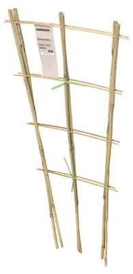 Produktbild von Rankgitter Bambus Kletterhilfe für Topfpflanzen, 70 x 30 cm, 2er Set