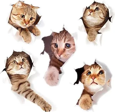 Produktbild von 3D-Katzen-Wandtattoo-Kombination aus WC-Wandtattoo, wasserfestem Kühlschrank-Wandtattoo, Tür- und Küchenwanddekoration