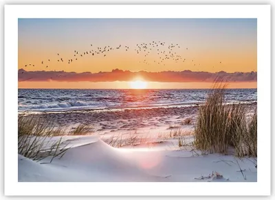 Produktbild von Poster - Poster ohne Rahmen - Sonne Strand Vögel - 70x50 cm - Wand Bild - Wanddeko - Wandbilder - Kunstposter - Wandposter - Bilder - Kunstdruck - Wanddekoration - Wandbild - P2XAA70x50-4727