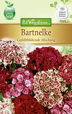 Produktbild von Bartnelken Gefülltblühende Mischung | Nelkensamen von N.L. Chrestensen
