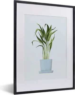 Produktbild von MuchoWow® MuchoWow® Gerahmtes Poster Zimmerpflanzen - Pflanzgefäß - Pastell 30x40 cm - Poster mit zchwarzem Bilderrahmen - Wandposter Schlafzimmer