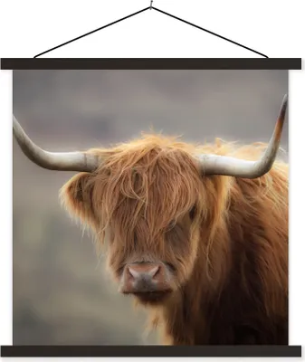 Produktbild von MuchoWow® Textilposter Schottisches Hochlandrind - Hörner - Haare 40x40 cm mit schwarzem Rahmen - Fotos