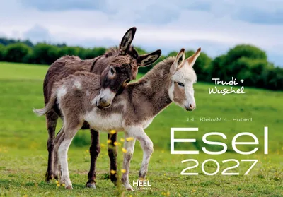 Image de Calendrier mural 2027 avec de charmantes illustrations d'animaux