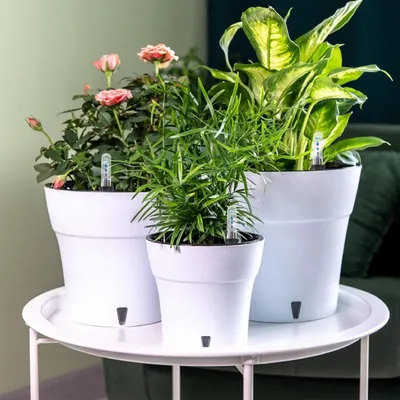 Produktbild von 5-teiliges Pflanzenwasserstandsanzeiger für Hydroponik - 20cm - Praktischer Wasserstandsanzeiger aus Kunststoff für Selbstbewässerungstöpfe und Blumenkästen - Geeignet für Zimmerpflanzen