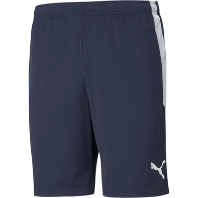 Produktbild von Puma Teamliga Trainingsshorts Kinder - Marine