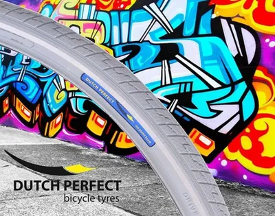 Immagine prodotto di Pneumatici Dutch Perfect 28 x 1,40" / 40-622 con protezione antiforatura - Grigio con riflesso