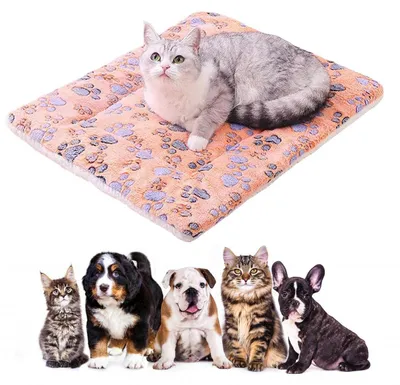 Produktbild von Selbstheizende Decke für Haustiere, Wärmematte Winter, L 60 x B 48 cm