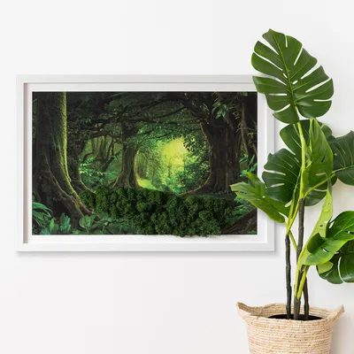 Produktbild von Moosbild mit Echtem Isländisch Moos - 60x40 cm - Weißer MDF-Rahmen - Tropischer Dschungel