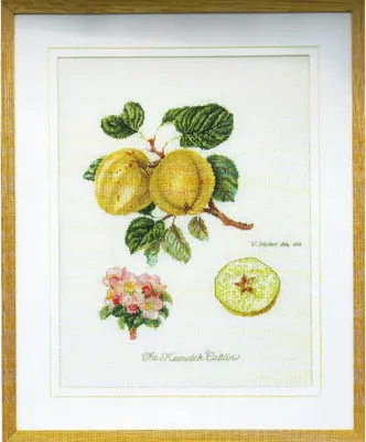 Produktbild von Thea Gouverneur Kreuzstich Stickpackung "Keswick-Apfel Aida", Zählmuster, 26x35cm