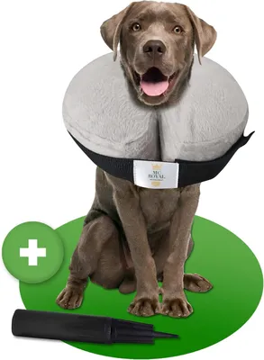 Productafbeelding van Opblaasbare halskraag voor honden en katten - beschermkraag - zacht velours - met pomp - klittenband