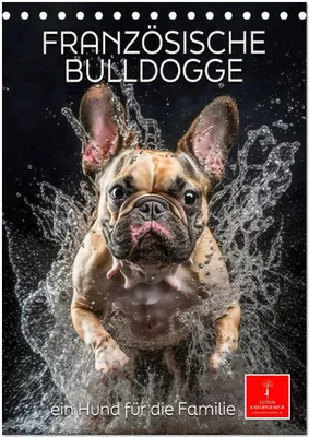 Produktbild von Französische Bulldogge - ein Hund für die Familie (Tischkalender 2026 DIN A5 hoch), CALVENDO Monatskalender