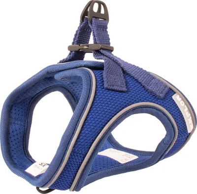 Image de Harnais Duvo+ EXPLOR Ultimate Fit bleu, taille : M