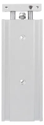 Doppelstangen-Luftzylinder M5x0.8 0,7 MPa CXSM10-50