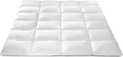 Produktbild von Natürliche, Baumwolle, Decke Bettdecke 100% Daunen, 135/200, 1,0 kg, weiss