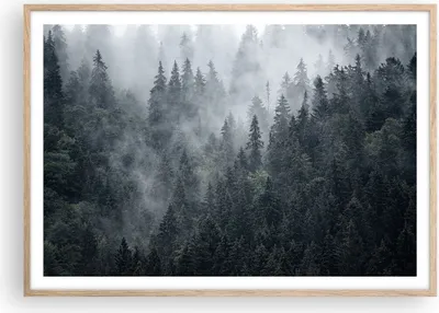 Produktbild von Gerahmtes Poster - Rahmen in heller Eiche - Wald Baum Natur - 100x70 cm - Wand Bild - Wanddeko - Wandbilder - Wandposter - Bilderrahmen - Bilder - Kunstdruck - Wandbild - P2NAA100x70-4074