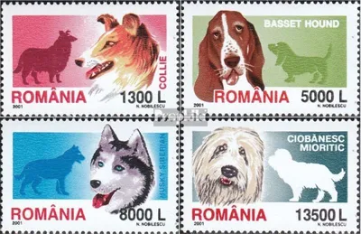 Produktbild von Briefmarken Rumänien 2001 Mi 5574-5577 (kompl.Ausg.) postfrisch Hunde