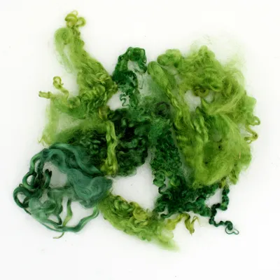 Produktbild von Wensleydale Locken Wollstapel - Grün / Wald Floating Color 20gr. Filzwolle