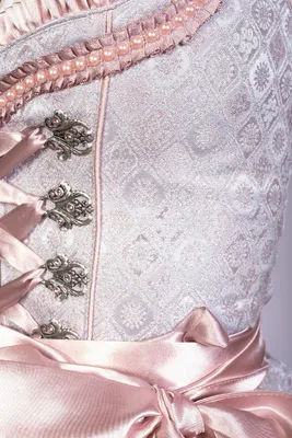 Produktbild von Trachtl - Midi Dirndl Alissa 2.Tlg Grau/Rosa 36