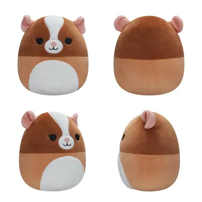 Produktbild von Squishmallows Plüschtier Maskottchen Meerschweinchen Garret 19 cm