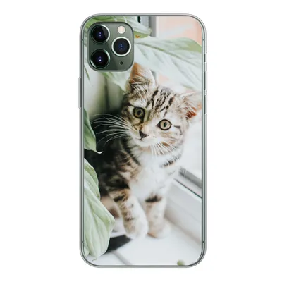 Produktbild von MuchoWow® Handyhülle Schutzhülle Hülle für iPhone 11 Pro Max Katze - Kätzchen - Pflanzen Silikon Softcase Handy Hülle - Schutz