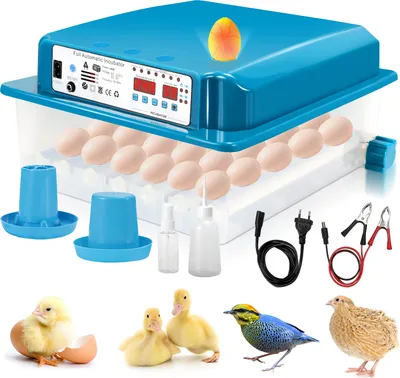 Obrázek produktu pro Clanmacy inkubátor na 36 vajec Automatický inkubátor s plně automatickým systémem otáčení, inkubátor s regulací teploty a vlhkosti, pro kuřata, kachny a další kuřata