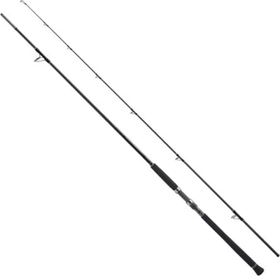 Produktbild von Shimano Fishing Xr S100m Spinnrute Silber 3.05 m / 56 g Silber 3.05 m