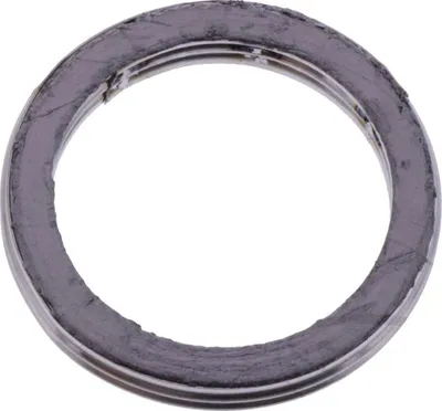 Immagine prodotto di Guarnizione del collettore per Yamaha YQ 100 Aerox, anni di produzione 2000-2003, di pamoto - Nuova