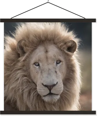 Produktbild von MuchoWow® Textilposter Löwe - Tier - Weiß 90x90 cm mit schwarzem Rahmen - Magnetisches