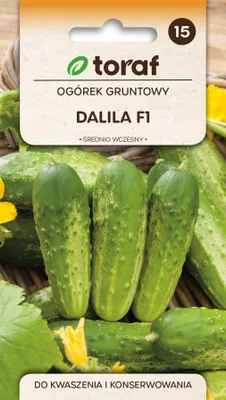 Zdjęcie produktu dla Ogórek gruntowy DALILA F1 do kwaszenia i kiszenia nasiona 5g Toraf 136
