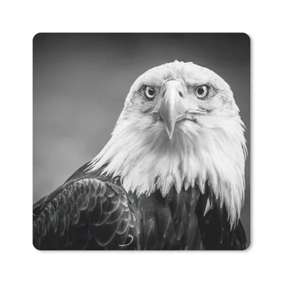 Produktbild von MuchoWow® Mauspad Mousepad Adler - Raubvogel - Schwarz - Weiß - Tiere 30x30 cm - Mousepads - Maus Mat - Pad - Mausunterlage - Gaming