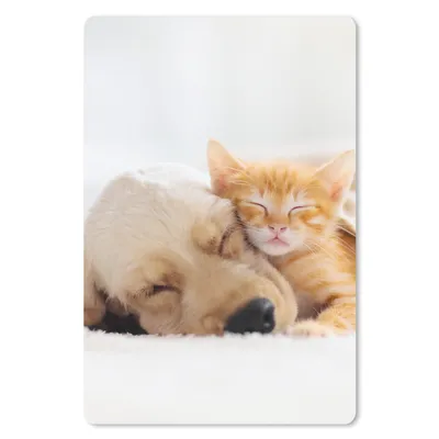 Produktbild von MuchoWow® Mauspad Mousepad Tiere - Hund - Kätzchen - Rot 40x60 cm - Mousepads - Maus Mat - Pad - Mausunterlage - Schreibtisch Accesoire