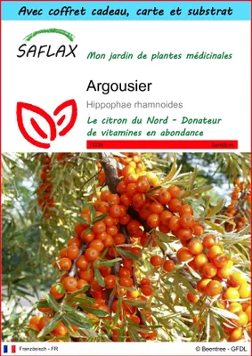 Image de SAFLAX Ensemble-cadeau - Argousier - 40 graines - Hippophae