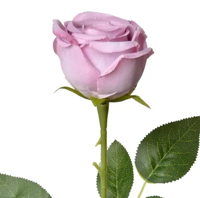 Produktbild von Clayre & Eef Kunstblume Rose 61 cm Violett Kunststoff