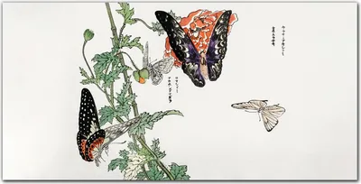 Produktbild von Coloray Bild aus Leinwand 100x50 Leinwand Dekoration - Zweig Blätter Insekten