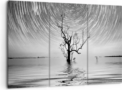 Produktbild von Bild auf Leinwand - Leinwandbild - 3 Teile - Schwarzweiß Baum See - 105x70cm - Wand Bild - Wanddeko - Wandbilder - Leinwanddruck - Bilder - Wanddekoration - Leinwand bilder - Wandbild - CE105x70-4253