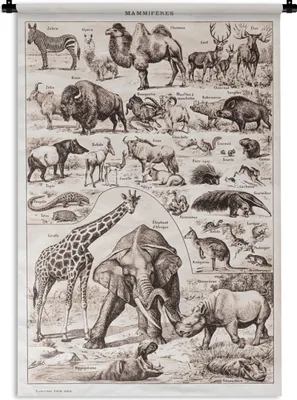 Produktbild von MuchoWow® Wandteppich Wandbehang Tiere - Elefant - Schwarz - Weiß 90x135 cm Tapisserie Dekoration Wandtuch - Baumwolle - Wandskulptur