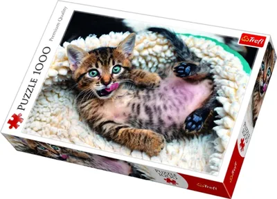 Obrázek produktu pro TREFL Puzzle 1000 VESELÉ KOŤÁTKO 10448
