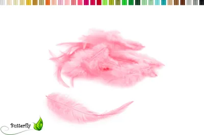 Produktbild von 3g Hahnenkreuz Federn ca. 8-13cm, Farbauswahl:rosa 148