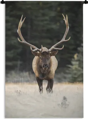 Produktbild von MuchoWow® Wandteppich Wandbehang Hirsch - Baum - Geweih 120x180 cm Tapisserie Dekoration Wandtuch - Schlafzimmer - Dekorationen für das Haus