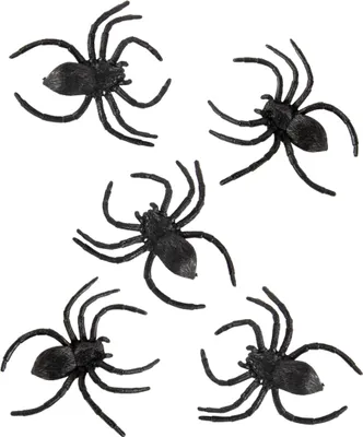 Produktbild von Fette Schwarze Taranteln - 4 Stück im Set