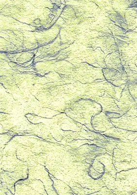 Produktbild von HEYDA 204718552 Strohseide 50 x 70 cm maigrün