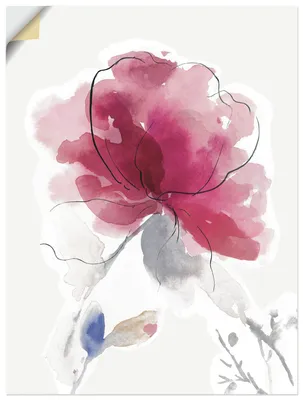 Produktbild von ARTland Wandbild, selbstklebend Rosige Blüte II. Größe: 30x40 cm