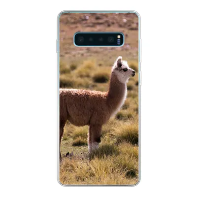 Produktbild von MuchoWow® Handyhülle Schutzhülle Hülle für Samsung Galaxy S10 Lite Alpaka - Braun - Natur Silikon Softcase Handy Hülle - Schutz