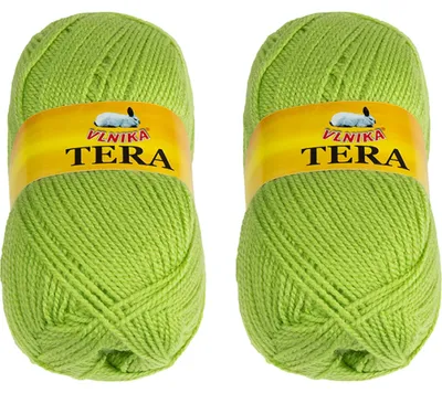 Image de Lot de 2 - Fil TERA - 100 g / 310 m - Vert